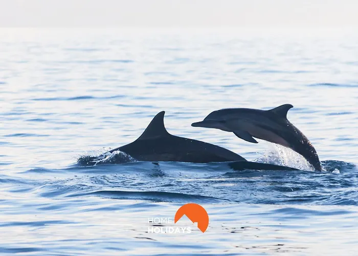 Appartement #083 Balcony With Ac, Garden View 5min